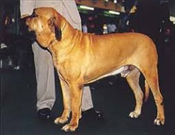 �����Ƒ��Ɍ}����O��